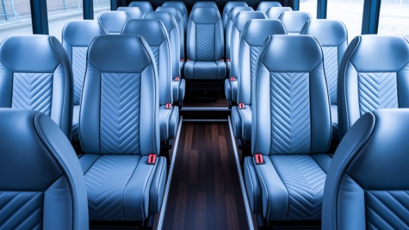 cape coral 28 passenger minibus inside